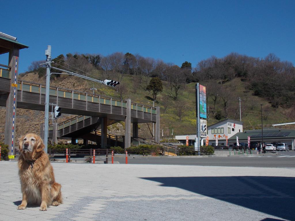 Hojo Suigun Youth Hostel Matsuyama  Eksteriør billede